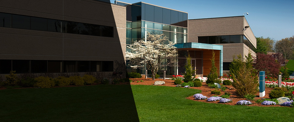 Farmersville Landscapers