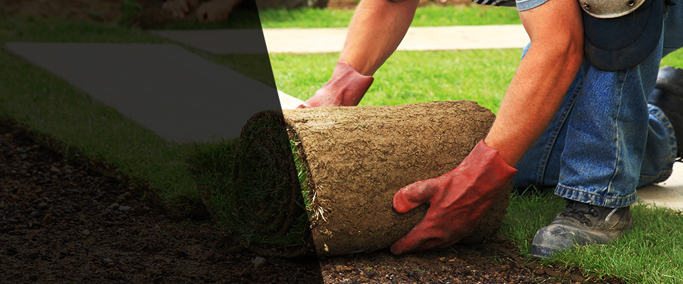 Farmersville Landscapers